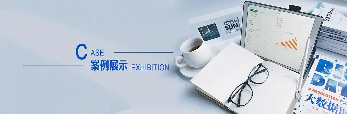 四川软件开发